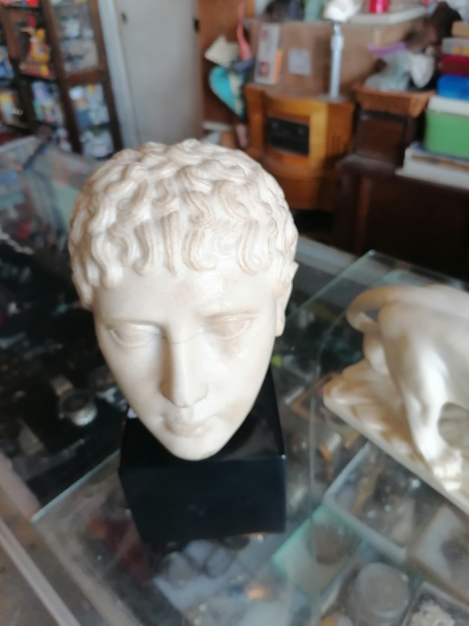 Escultura de Cabeza De Marmol Estilo Romano - Antiques Bazaar Ensenada