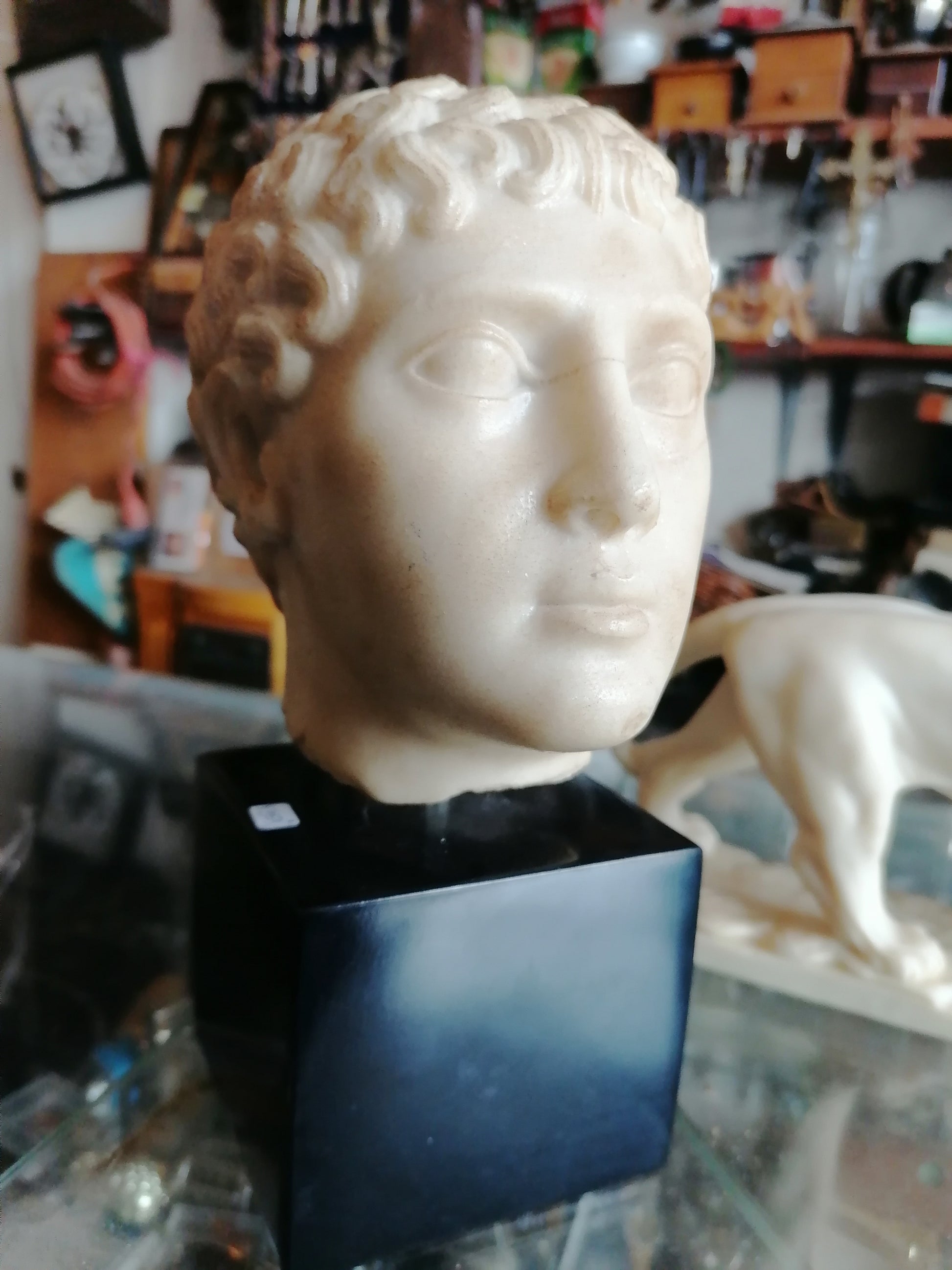 Escultura de Cabeza De Marmol Estilo Romano - Antiques Bazaar Ensenada