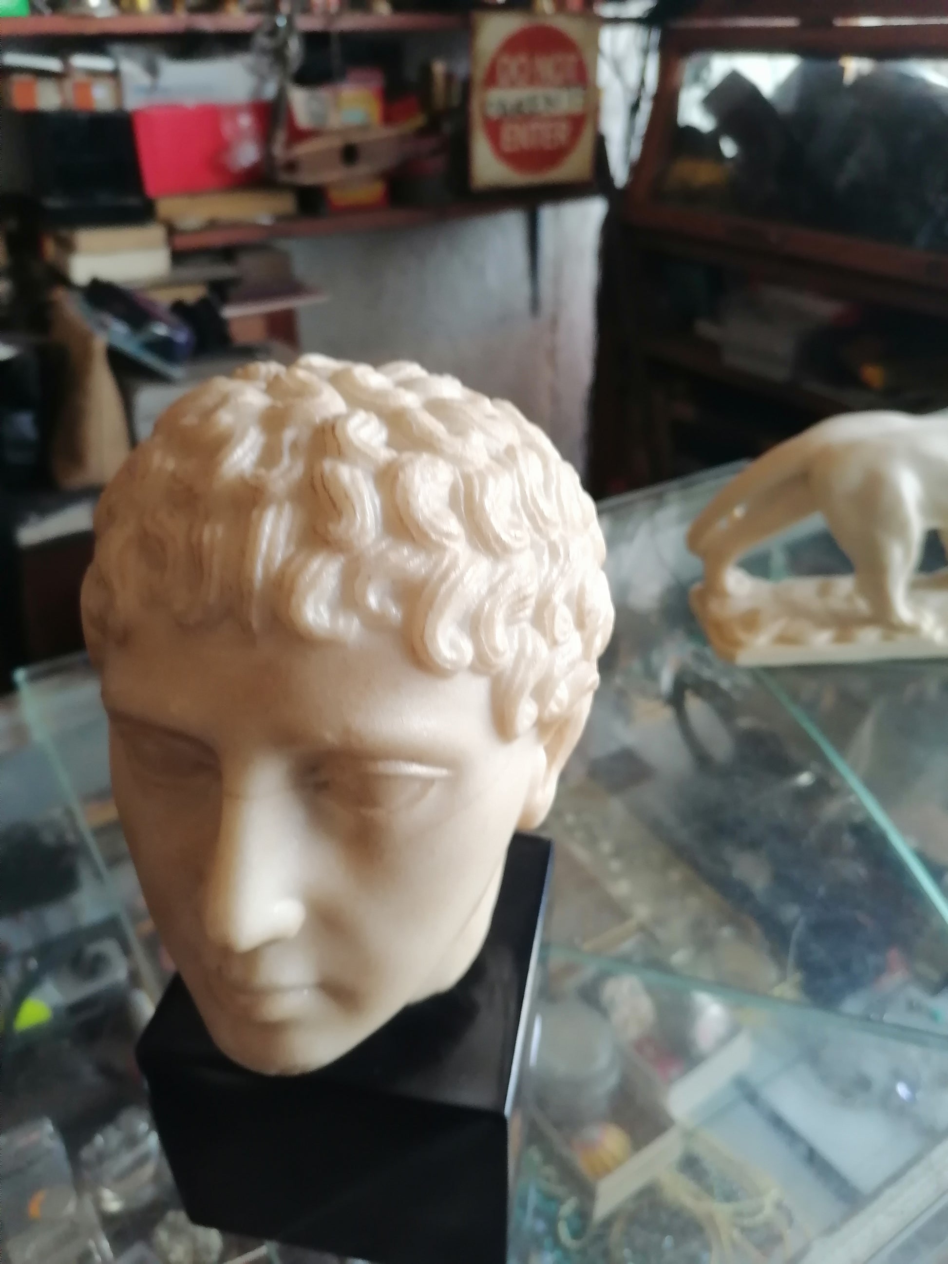 Escultura de Cabeza De Marmol Estilo Romano - Antiques Bazaar Ensenada